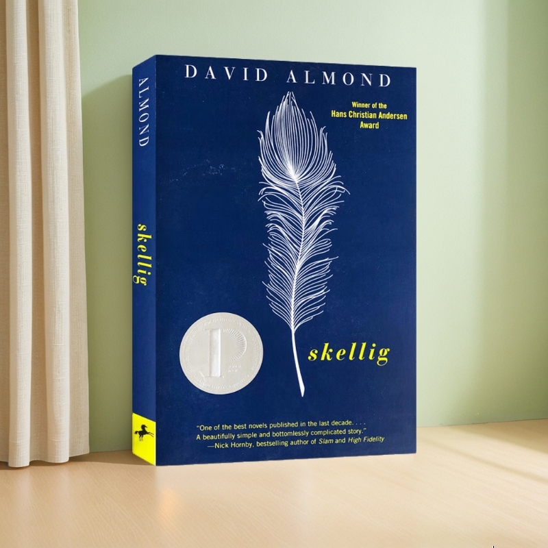 进口原版 当天使坠落人间(2000年普林兹奖) 英文原版Skellig David Almond青少年小说 SKELLIG H
