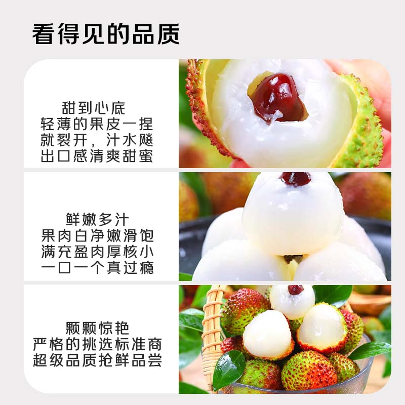 小筑倾橙海南妃子笑荔枝【顺丰冷链】海南新鲜孕妇端午水果礼盒当季整箱 5.5斤中果实惠优选带箱 净果4.6斤
