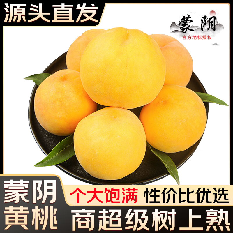 融鲜蒙阴黄桃新鲜桃子水果【多地次日达】山东当季黄毛桃应季水果 净重4.5-5斤单果100g+