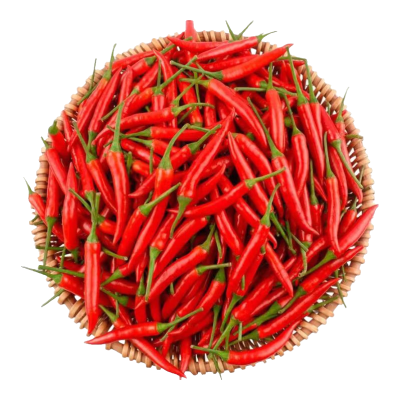 新鲜小米辣小米辣椒小米椒蔬菜小米辣鲜椒新鲜辣椒特辣巨辣红辣椒 巨辣（净重240g）实惠尝鲜