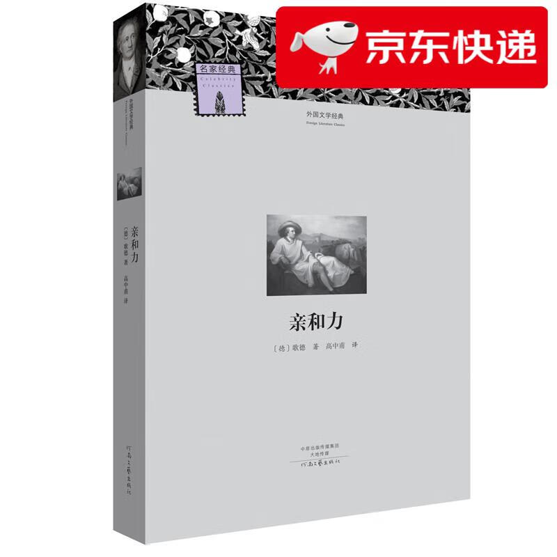 名著名译*外国文学经典:亲和力