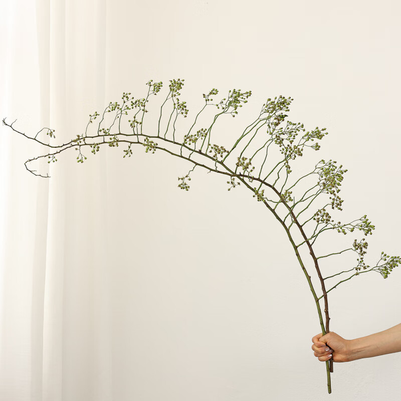 TMJD MISS干花感真花山归来鲜切侘寂风干乾花花束客厅摆设感真花 绿色山归来2支80-90cm鲜花