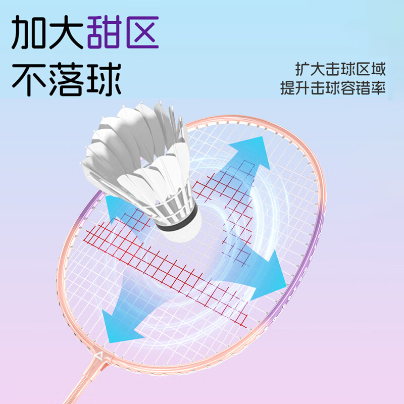 匹克(PEAK)羽毛球拍超轻对拍攻守平衡成人学生练习球拍耐打铝合金初学者入门 【初学进阶】紫/绿双拍丨耐打3球 羽毛球拍套装