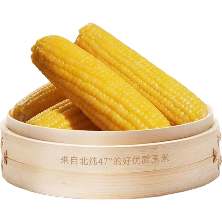 当季新货东北黄甜糯玉米棒10支真空包装低脂黄糯大棒甜东北黏苞米 头茬黄玉米4棒 200g起/棒