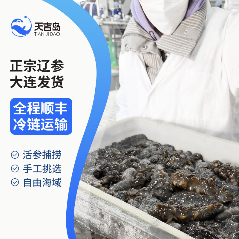 天吉岛大连即食海参底播固形物80%辽参冷链直达送长辈商务滋补佳品礼物 500g【21-27只】个头小数量多经济划算