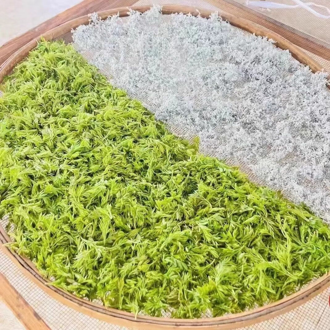 施南峻包邮霉腾茶500g天然含硒藤茶湖北来凤含硒张家界莓茶龙须牙尖藤茶 2026芽尖藤茶500克 500g*1桶