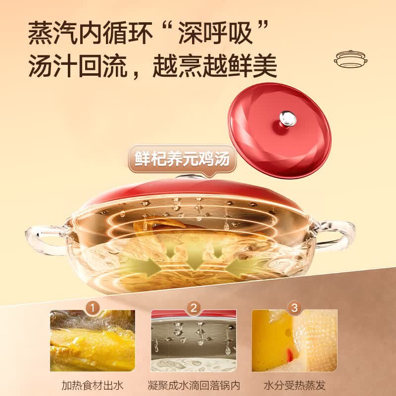大松（TOSOT）【烹饪大师】铸铁珐琅海鲜锅煎炸炖煮焖烧微压双耳锅电磁燃气通用 红色30cm3L