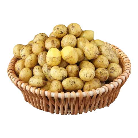 ڲںʩС ũһ߲ 5йС11.69Ԫ
