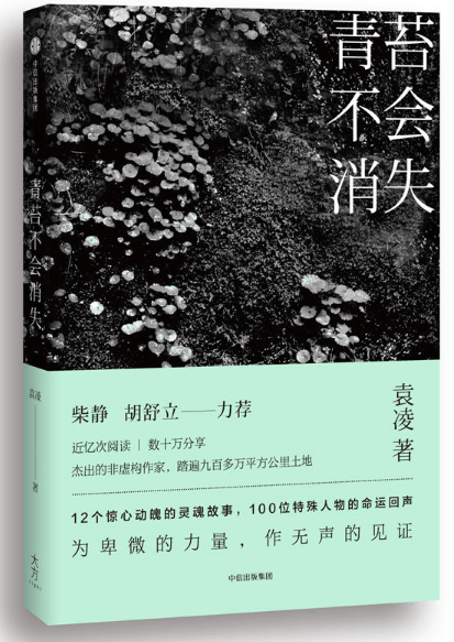 青苔不会消失