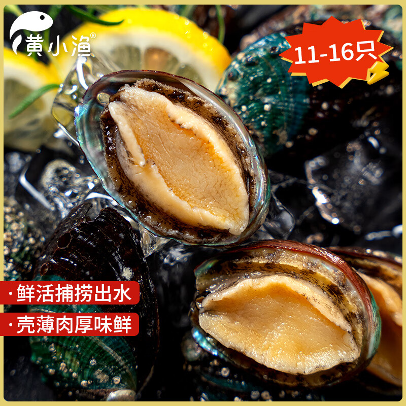 黄小渔冷冻鲍鱼160g(11-16粒)