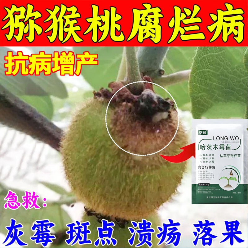 垄颖猕猴桃软腐病专用除菌剂病溃疡病褐斑病根腐病霉污叶枯病专用肥料