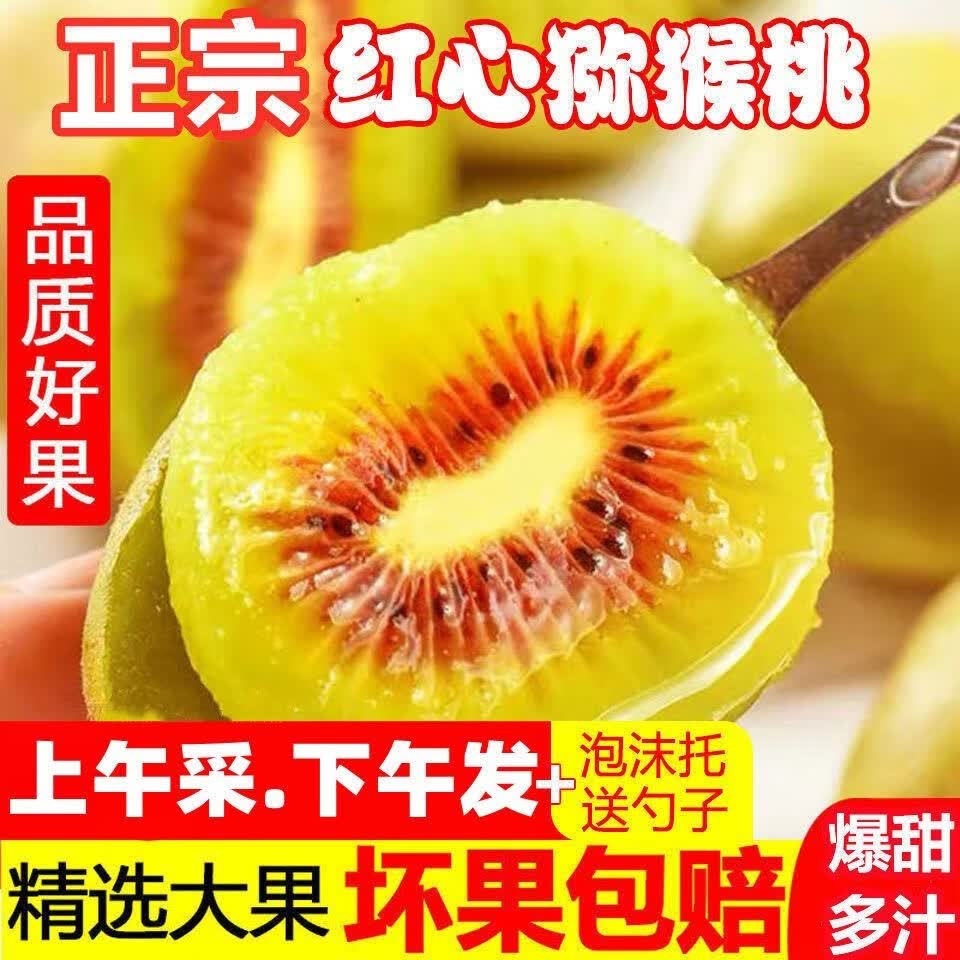 果迎鲜猕猴桃 新鲜水果 四川红心猕猴桃 12个65-80g