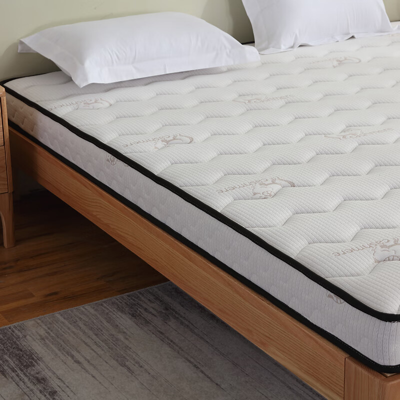 海马天然椰棕黄麻乳胶床垫护脊舒适家用卧室宿舍榻榻米席梦思床垫 3cm椰棕（5cm厚） 1*2米