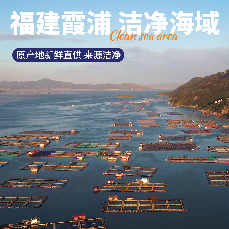 三都港盐渍新鲜海带苗180g*4包霞浦特产海带嫩苗火锅凉拌菜煲汤食材藻类 盐渍海带苗180g*4包