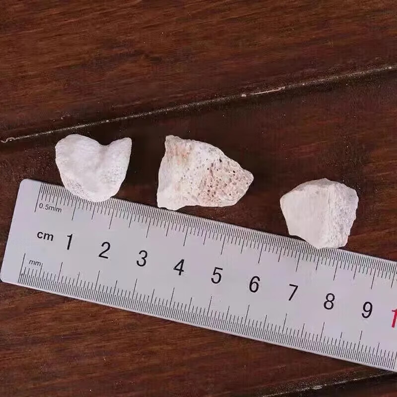 北京同仁堂 龙骨中药材 五花龙骨 精选无硫 无硫龙骨粉煅龙骨 可配牡蛎 生龙骨 500g*1袋