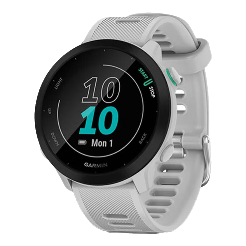 佳明（GARMIN）运动手表 先驱系列 Forerunner 55 跑步游泳马拉松铁三智能手表 White 白色