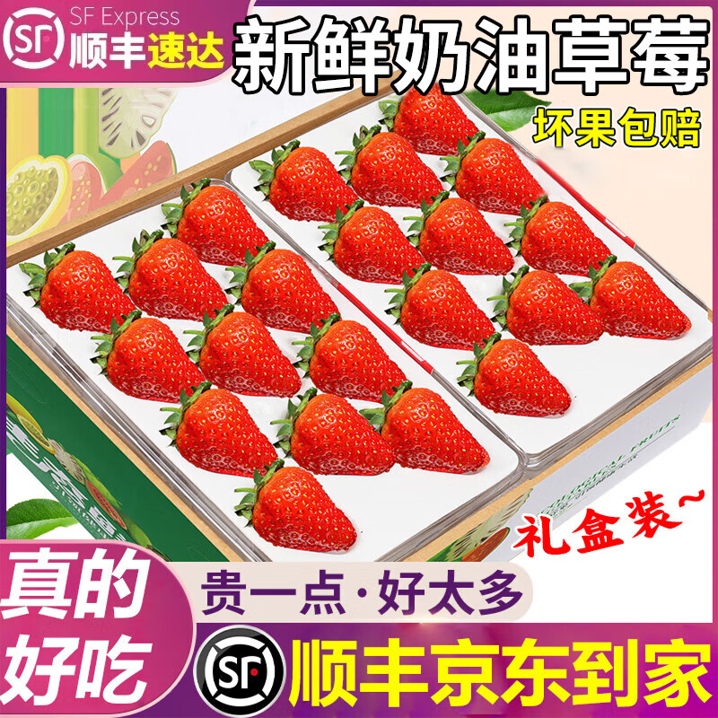 粤迎大凉山奶油草莓【JD顺丰多地次日达】牛奶草莓露天红颜草莓新鲜 3斤精选果【单果8-12g】净2.2斤