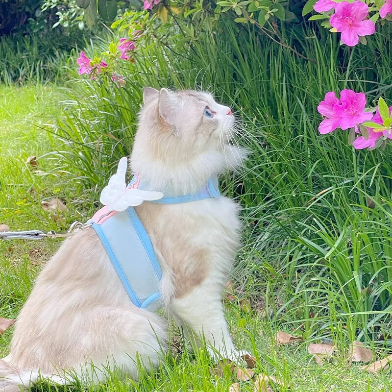 天使喵背心式牵引绳猫咪外出防丢遛猫绳狗链子遛狗绳子项圈背带 湖水蓝 XL（参考选项图