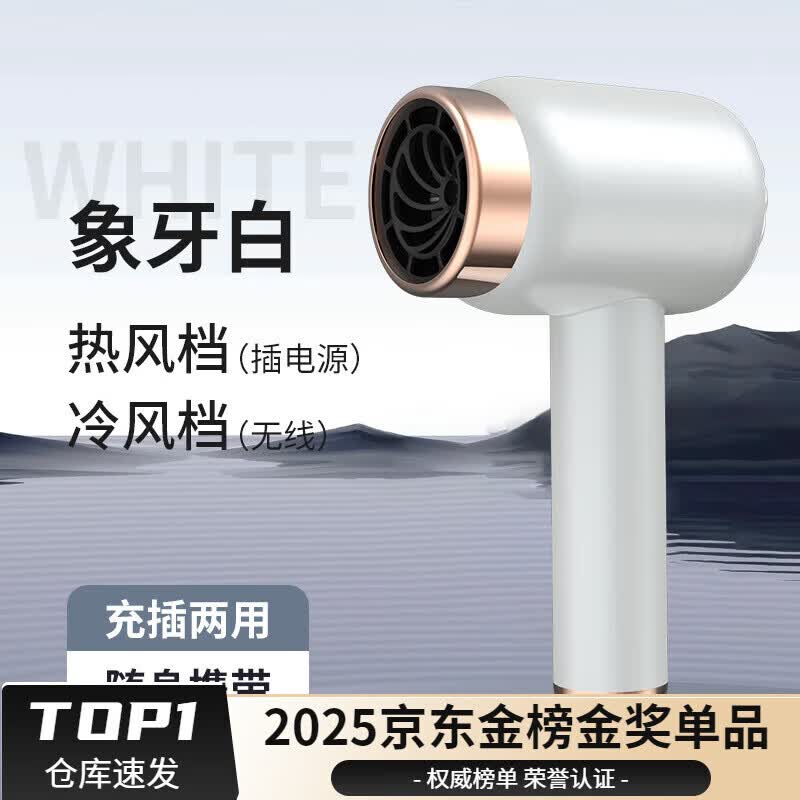德国品质原装无线吹风机小功率充电吹风筒家用便携不插电宿舍用负离子冷热发吹风机速送女友  中文 【负离子款白】充/插两用+无线便携+恒温护发