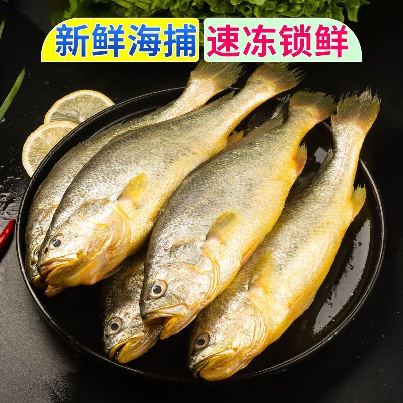 小黄鱼新鲜冷冻海鱼冰鲜真空包装生小黄鱼 1斤【约10条左右】