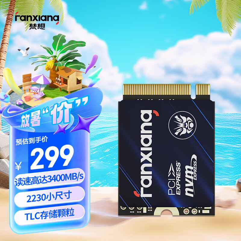 梵想（FANXIANG）512GB SSD固态硬盘 M.2接口NVMe协议PCIe3.0 2230小尺寸规格 电脑游戏机扩展硬盘 S532