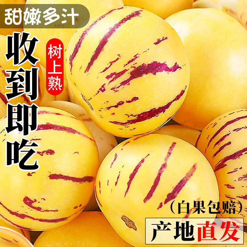 正宗云南人参果圆果树上熟人生果新鲜水果当季孕妇新鲜大果整箱 精选5斤装【单果70-90g】净重4.5斤