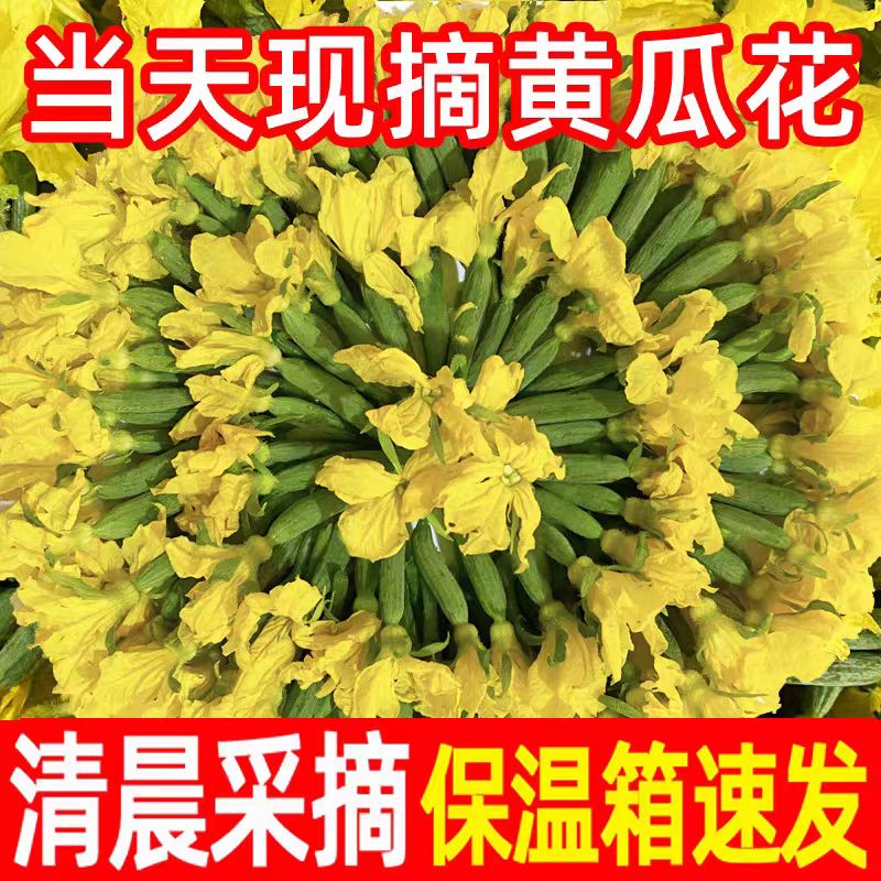风筝王【顺丰】黄瓜花 新鲜小黄瓜花 青瓜花 特嫩水果黄瓜顶花 黄瓜仔 现摘黄瓜花 3斤