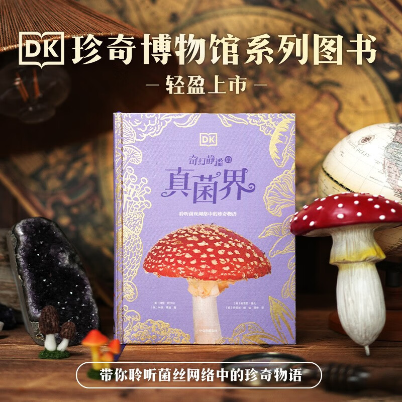 DK奇幻静谧的真菌界  英国DK公司著 DK珍奇博物馆系列  6岁以上 儿童科普读物