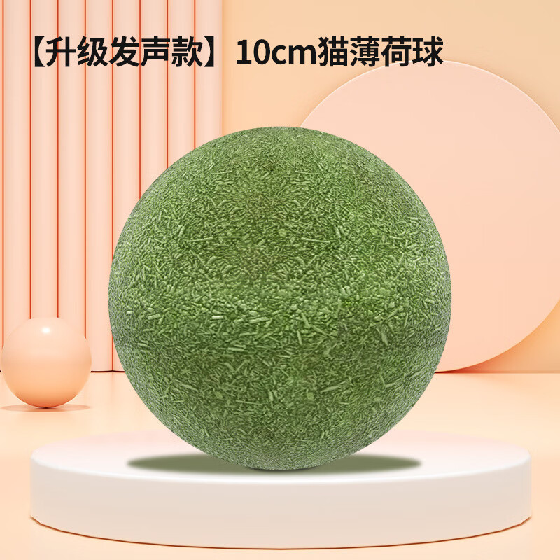 ���񳽳���10cmè���������˽���ĥ��è������߱������������ ����è������10CM�� 2����