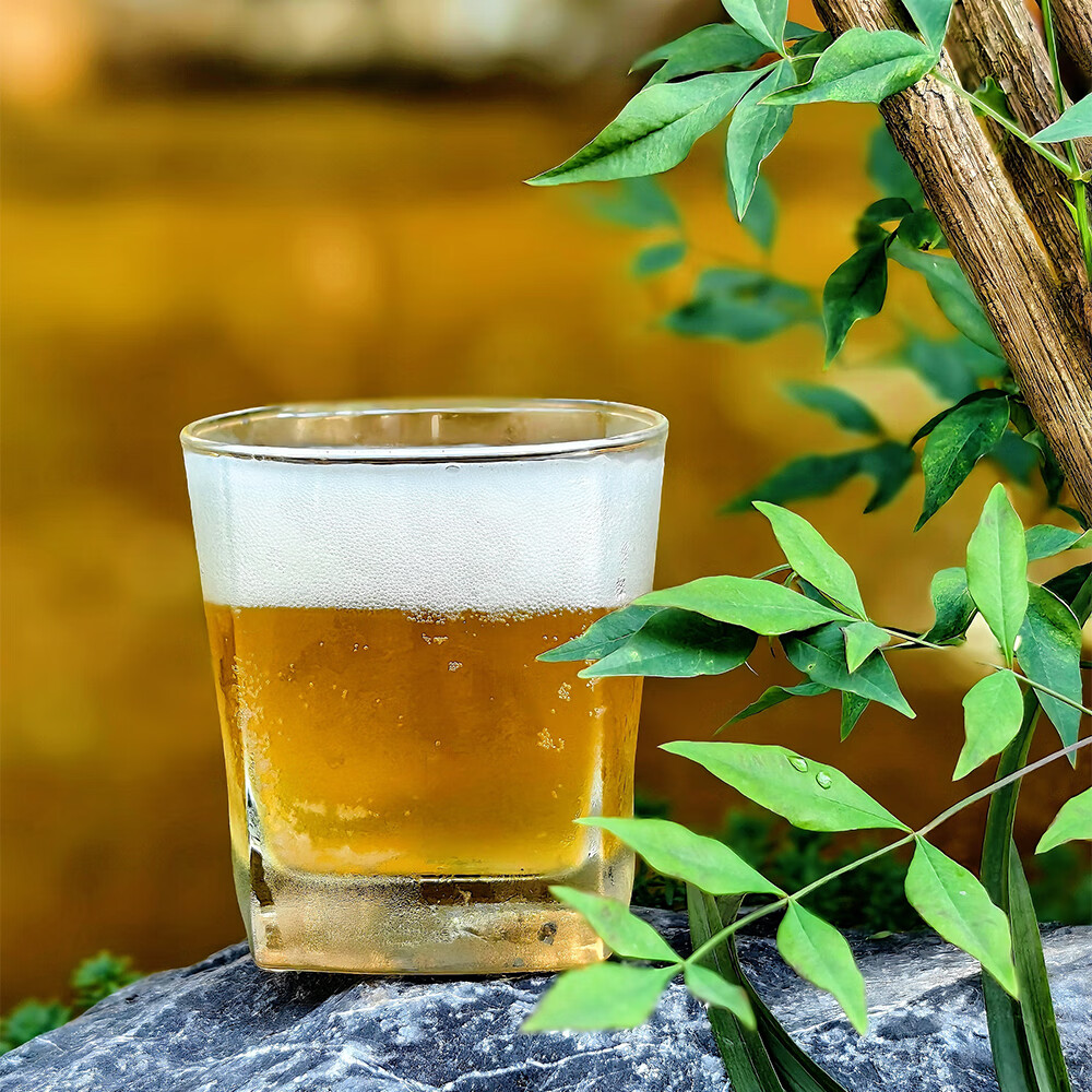 紫芸 中式小麦精酿啤酒小罐装茶叶啤酒 永川秀芽 500mL 12罐 整箱装