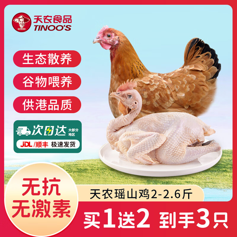 飞来峡清远瑶山鸡供港无抗生鲜整鸡肉山林散养农家土鸡母鸡走地鸡 瑶山鸡2斤-2.6斤【拍1发3】 京东折扣/优惠券
