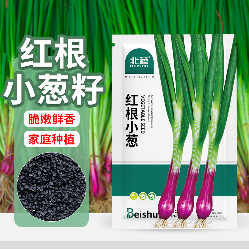北蔬 小香葱种子苗红葱种头四季庭院阳台种菜籽 红根小葱种子约600粒