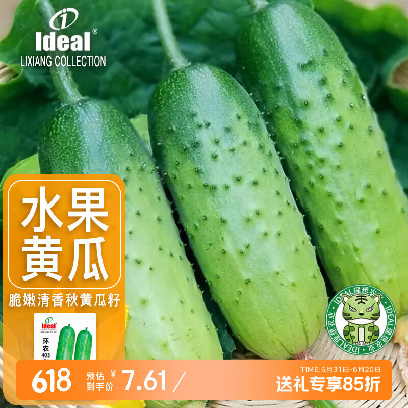 IDEAL理想农业 水果黄瓜种子四季种蔬菜种籽阳台盆栽秋黄瓜旱黄瓜种子