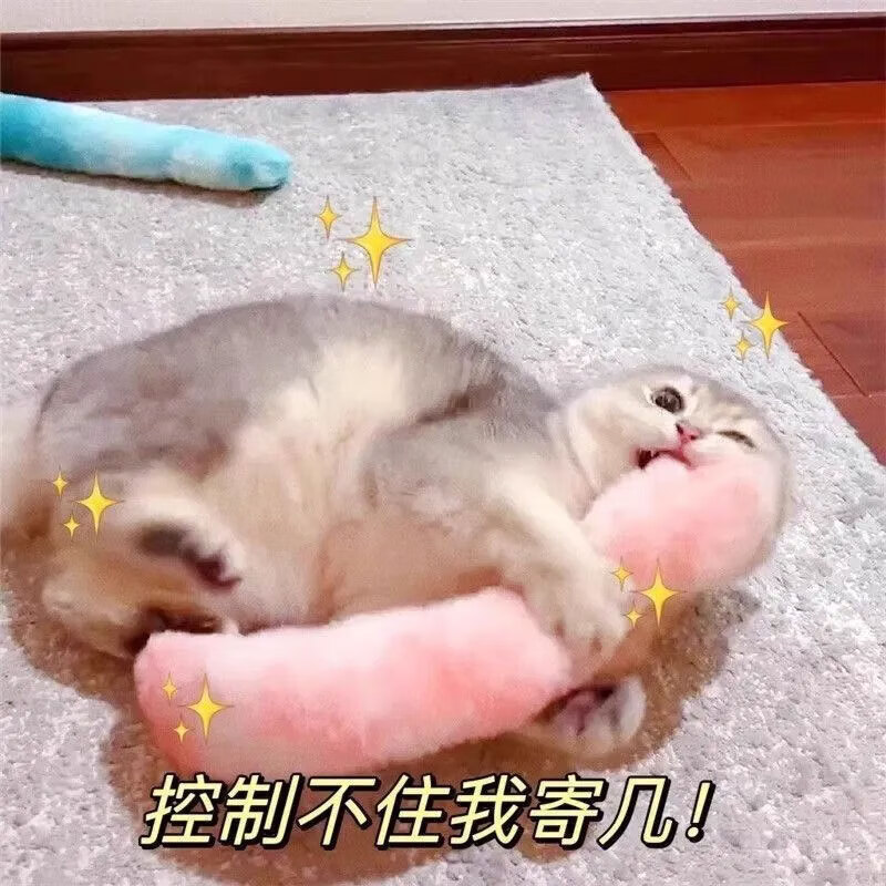 猫玩具磨牙棒剑麻球耐咬发声解闷神器 木天蓼磨牙棒