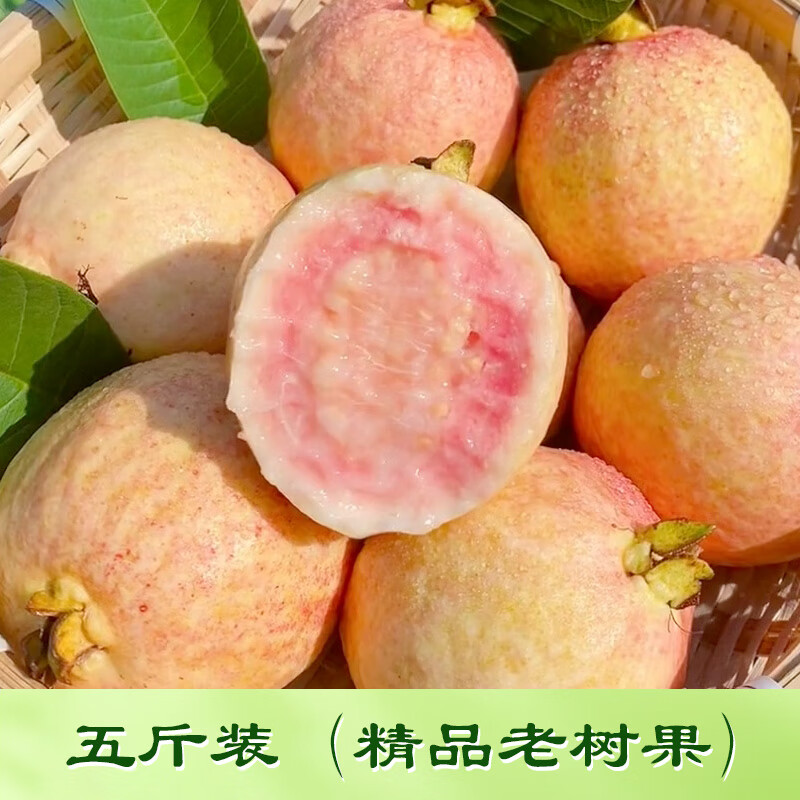 ����Դ����ժ�����š��㶫������֬�������Ŵ���ķ�ʯ��ʺ���и�ˮ�� 5�ﾻ�ء�������������100g�� 63.9Ԫ