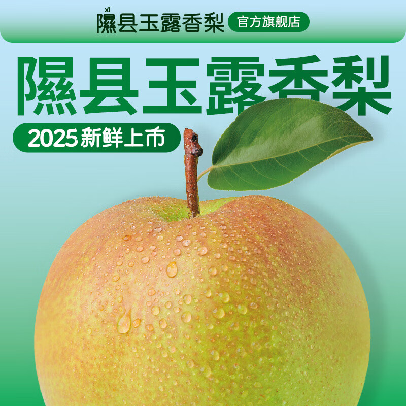 隰(xi)悦【顺丰】山西隰县玉露香梨当季水果梨子隰县小西天特产玉露香梨 12粒特大果(净重约10斤)90mm+