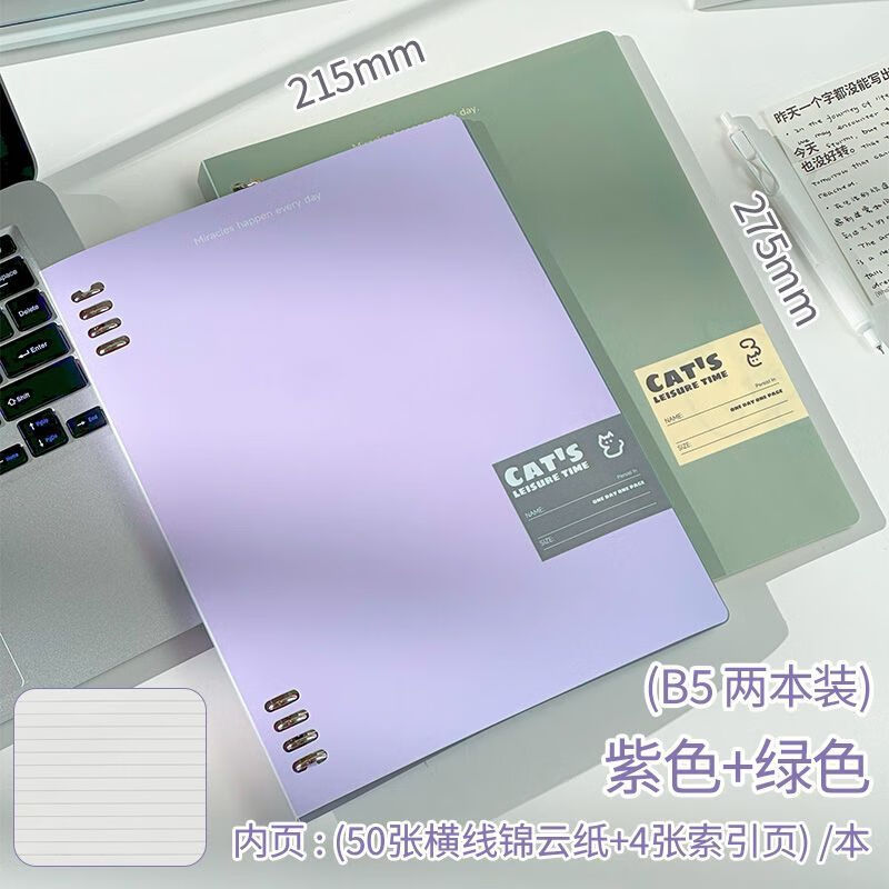 文谷（Wengu）B5活页本不硌手笔记本本子可拆卸替芯横线学生记事本线圈本大学生考研日记本加厚简约错题作业本 【紫色+深绿】100张锦云纸+8张索引贴 不硌手 铁夹活页本