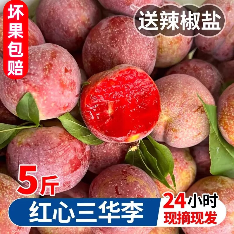 黛季银妃三华李当季新鲜采摘李子孕妇水果鲜美多汁红心李中大果酸甜脆 5斤精选（净重4.5-5斤 25-30g）