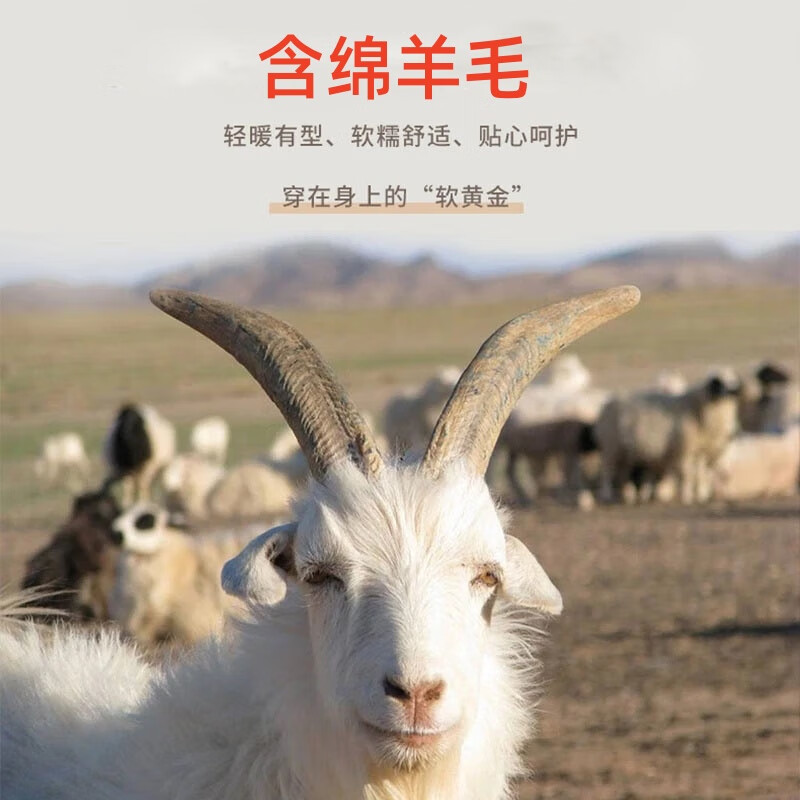 六月玫瑰 打底衣含羊毛加绒打底衫高弹小立领上衣可外穿针织毛衣女保暖衣 绒绒黑-小立领 L (100-120斤)