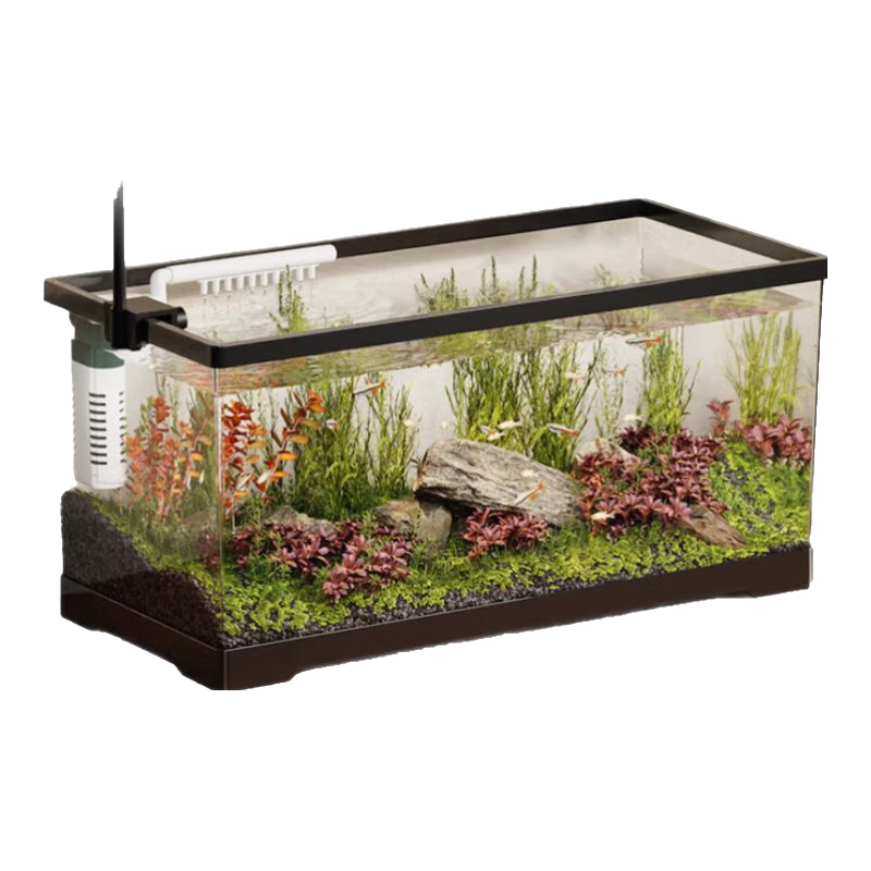 Barbarous Growth �кŵ��Ÿ� ��ɫ 21.9Ԫ