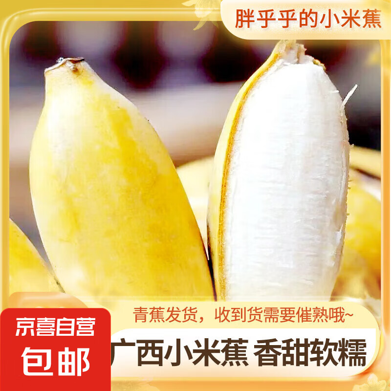广西网红小米蕉青香蕉发货密封放熟吃新鲜水果皮薄肉厚 净重1斤青蕉发货