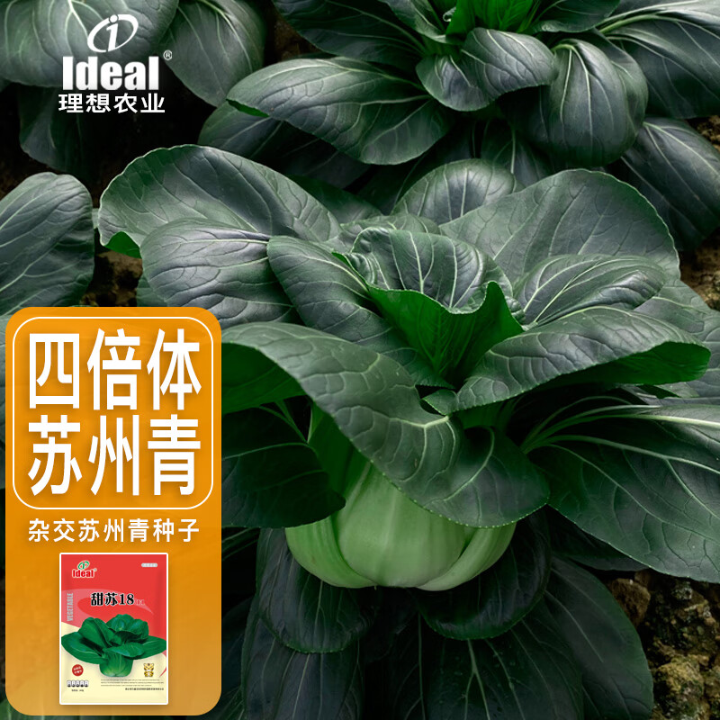 ldeal理想农业 甜糯苏州青菜种子耐寒油亮黑叶矮脚苏州青菜籽蔬菜种子