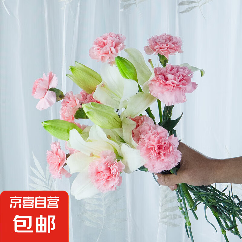 康乃馨百合鲜花混搭套餐云南鲜花直发居家插花母亲节送长辈花束1 随机康乃馨20枝+随机百合5朵