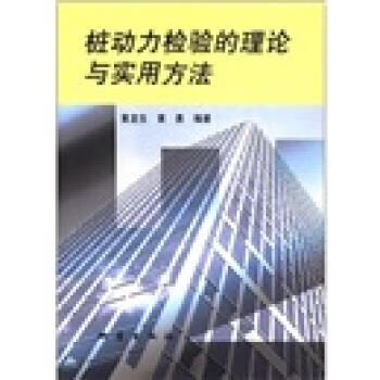 桩动力检验的理论与实用方法 黄龙生 著