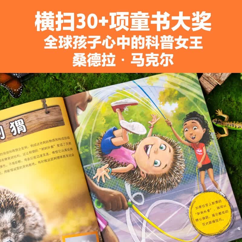 图 6