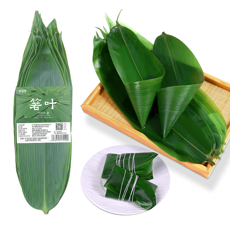 鲜窝窝 超大号新鲜粽叶30片 宽粽叶野生粽子叶新鲜箬叶端午节包粽子材料