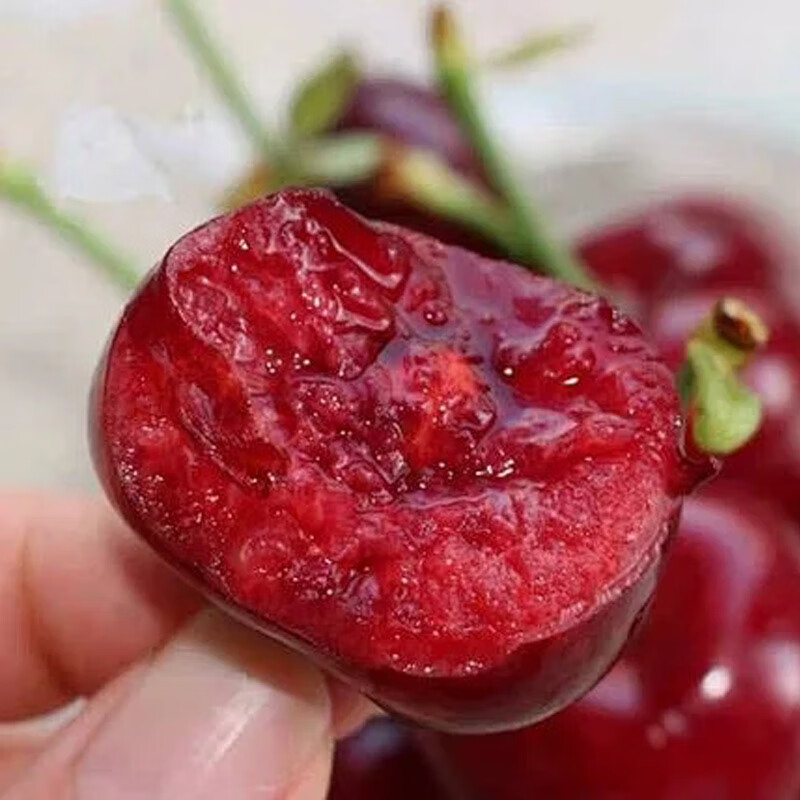 山东大樱桃SSS国产车厘子水果 新鲜水果时令生鲜孕妇水果樱桃礼盒 中果带箱5斤（净重4斤22-26mm 单果果径源头直发包邮