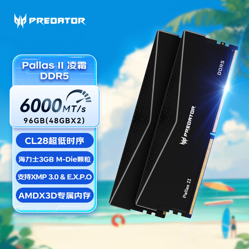 宏碁掠夺者（PREDATOR）凌霜6000c28	96G(48G×2)套装 DDR5 6000频率 台式机内存条 Pallas II 凌霜系列（C28）星光银 AI 6000MHz C28凌霜-黑 3