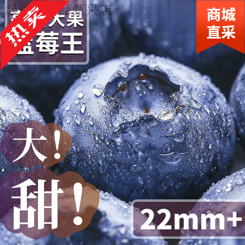 中秋送礼云南蓝莓鲜果新鲜高端水果当季怡颗高山L25花香孕妇整 12盒 中大果16-18mm丨[单