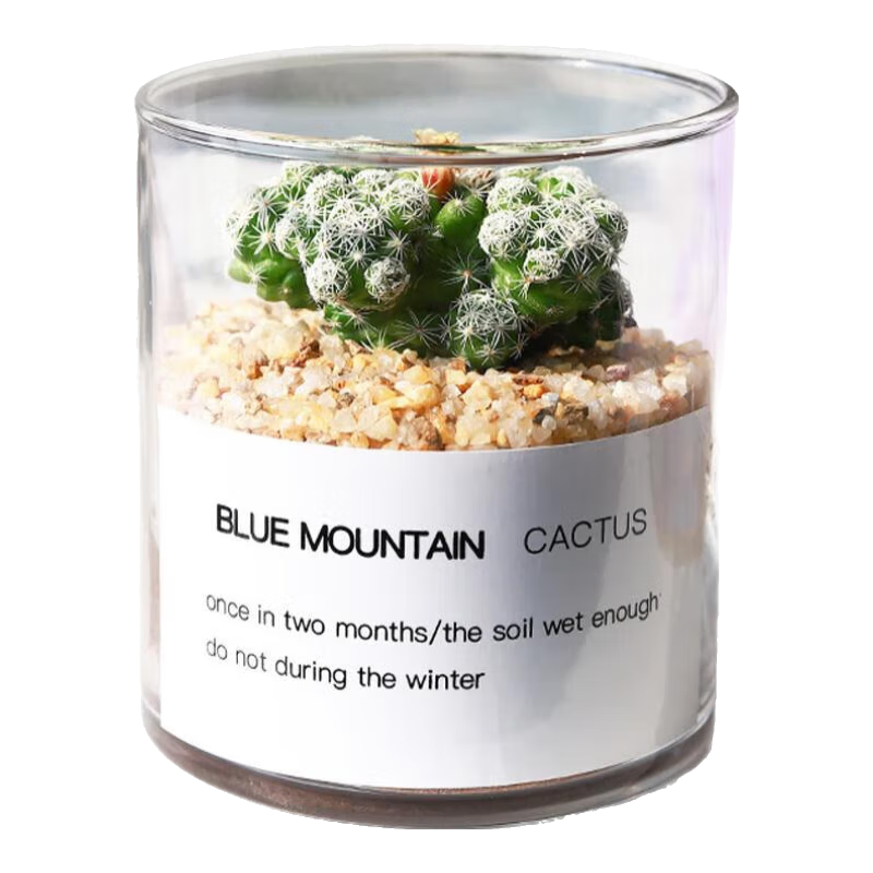 ����ֲ��������������������������С���Կ����ɰ�������ֲ ����+������+�ƽ�ɰ+Ӫ���� ���� 3.99Ԫ������ȯ��